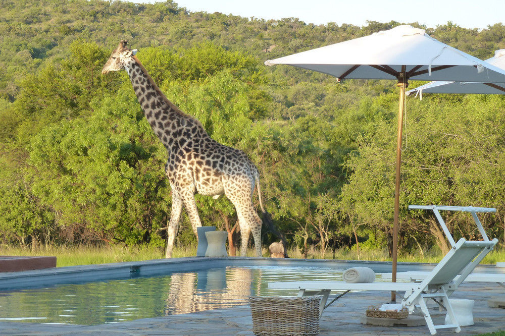 Zebras Crossing Private Game Lodge Modimolle Bagian luar foto