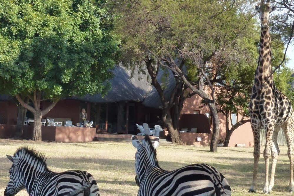 Zebras Crossing Private Game Lodge Modimolle Bagian luar foto