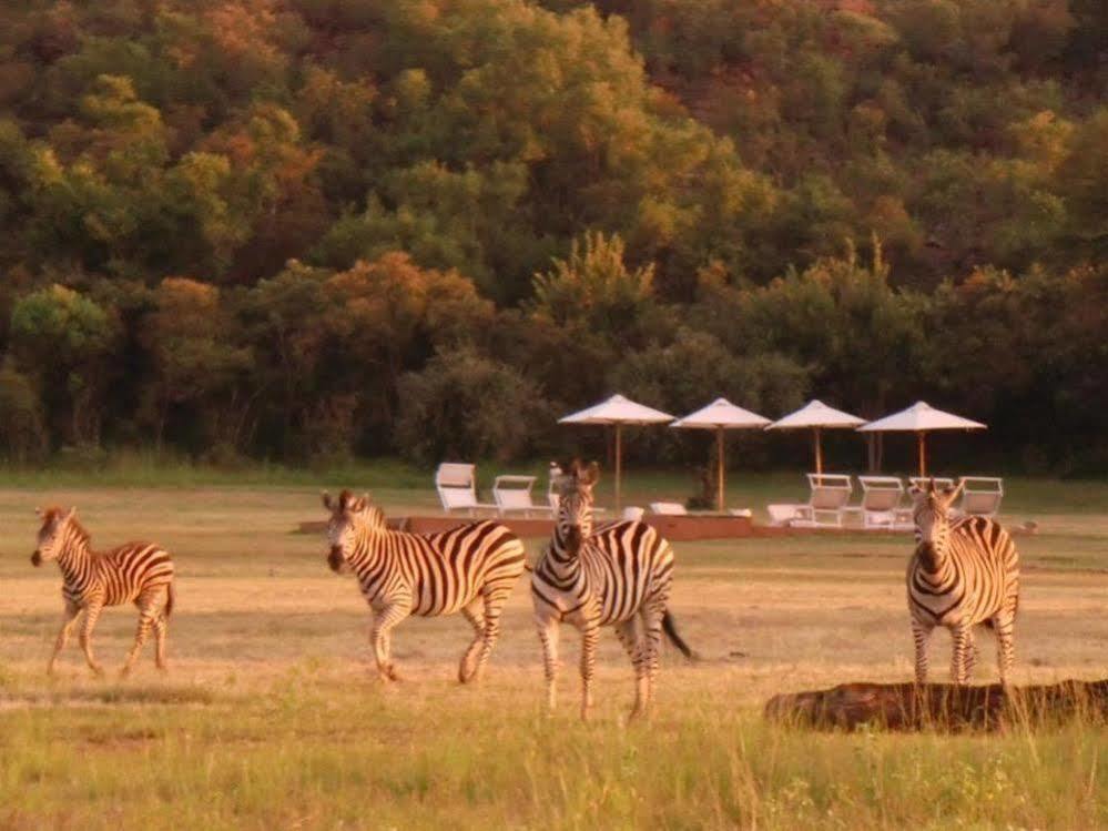 Zebras Crossing Private Game Lodge Modimolle Bagian luar foto