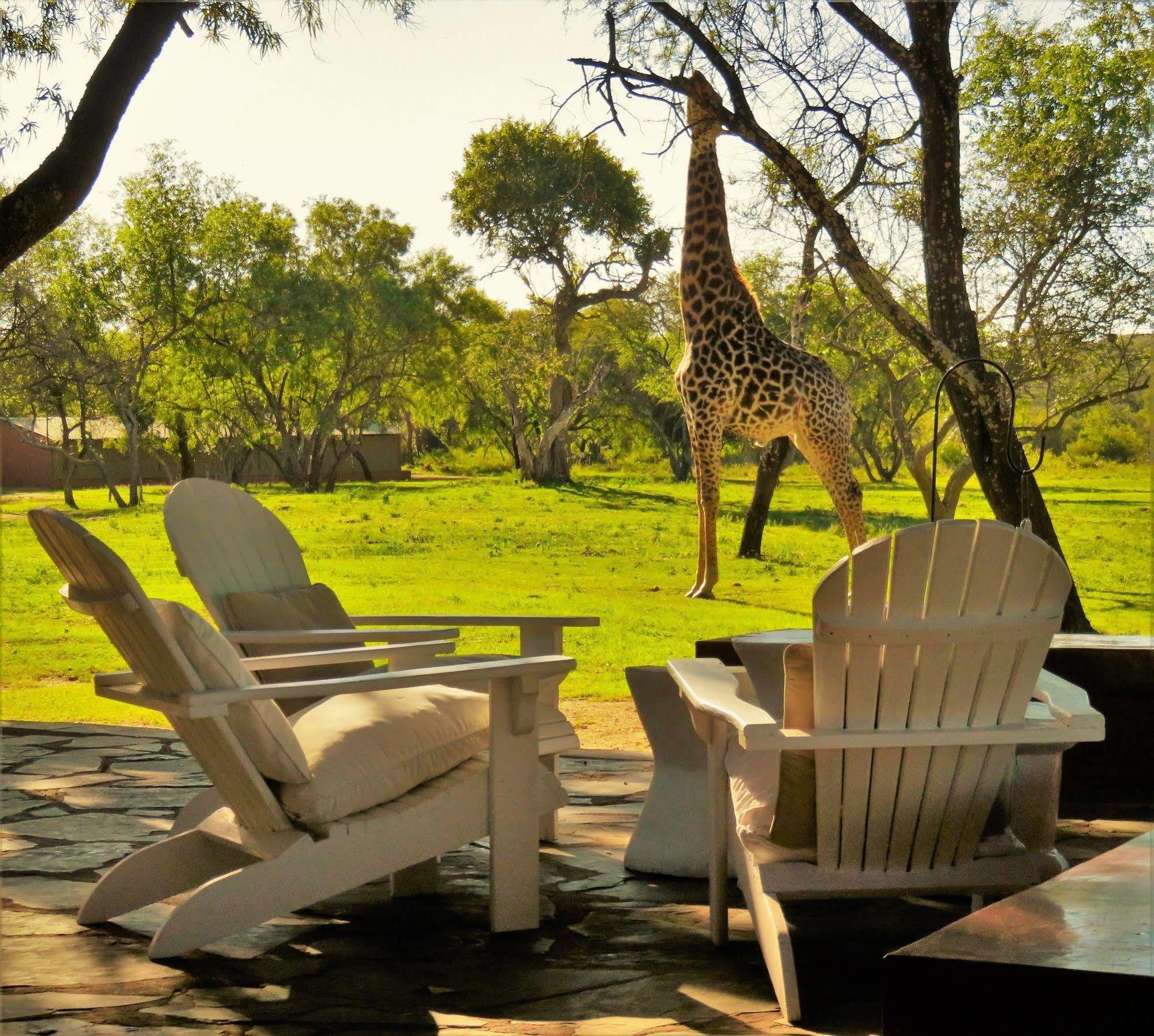 Zebras Crossing Private Game Lodge Modimolle Bagian luar foto